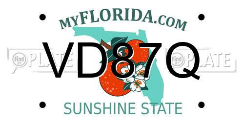 VD87Q Florida License Plate