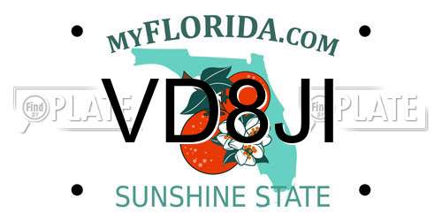 VD8JI Florida License Plate