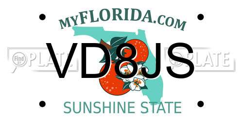 VD8JS Florida License Plate