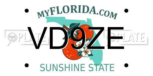 VD9ZE Florida License Plate