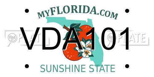 VDA101 Florida License Plate