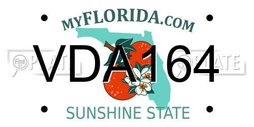 VDA164 Florida License Plate