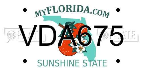 VDA675 Florida License Plate