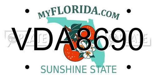 VDA8690 Florida License Plate