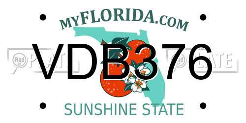 VDB376 Florida License Plate