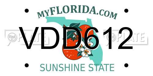 VDD612 Florida License Plate