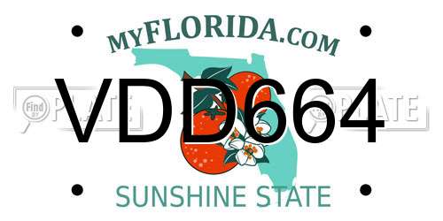 VDD664 Florida License Plate
