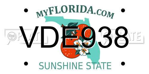 VDE938 Florida License Plate