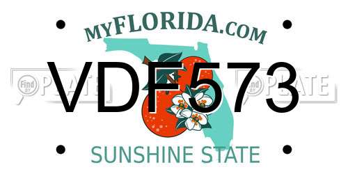 VDF573 Florida License Plate
