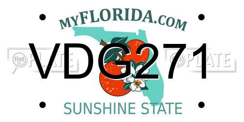 VDG271 Florida License Plate