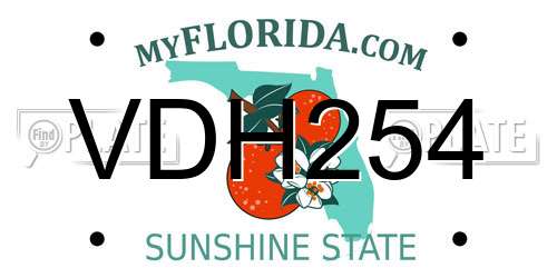 VDH254 Florida License Plate