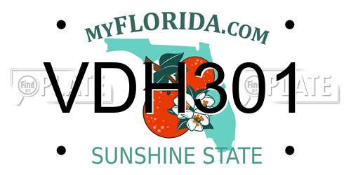 VDH301 Florida License Plate