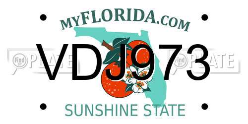 VDJ973 Florida License Plate