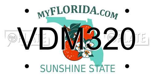 VDM320 Florida License Plate