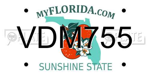 VDM755 Florida License Plate