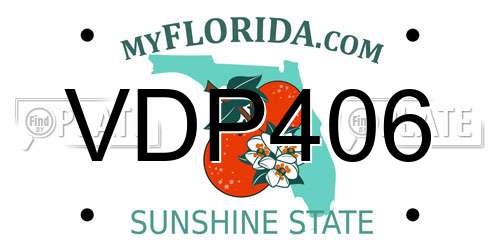 VDP406 Florida License Plate
