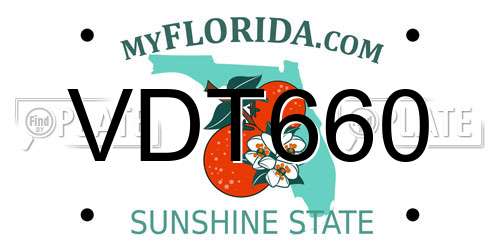VDT660 Florida License Plate