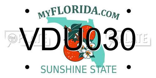 VDU030 Florida License Plate