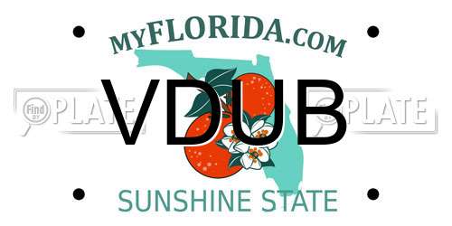 VDUB Florida License Plate