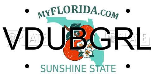 VDUBGRL Florida License Plate