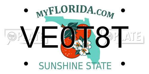 VE0T8T Florida License Plate