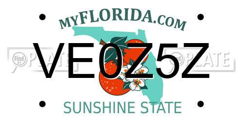 VE0Z5Z Florida License Plate