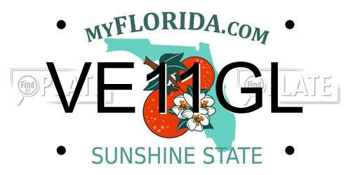 VE11GL Florida License Plate
