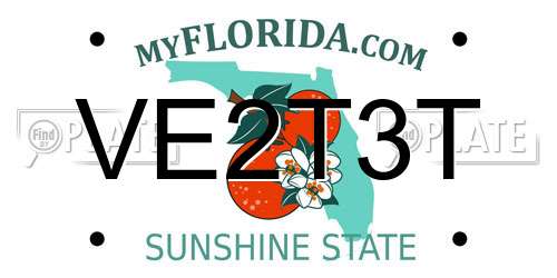 VE2T3T Florida License Plate