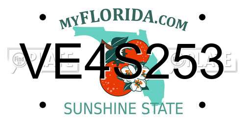 VE4S253 Florida License Plate