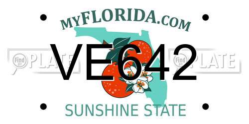 VE642 Florida License Plate
