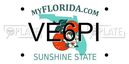 VE6PI Florida License Plate