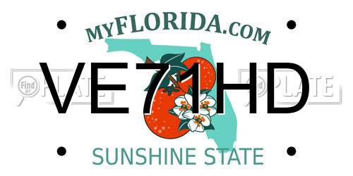 VE71HD Florida License Plate