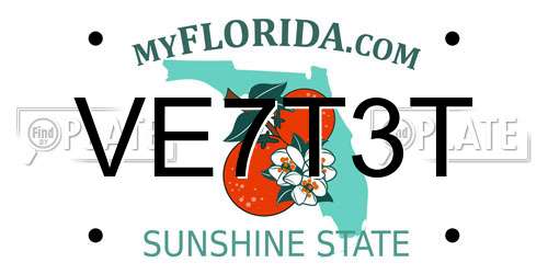 VE7T3T Florida License Plate