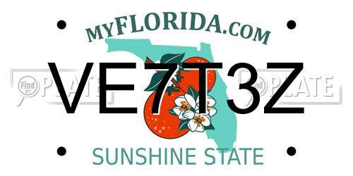 VE7T3Z Florida License Plate
