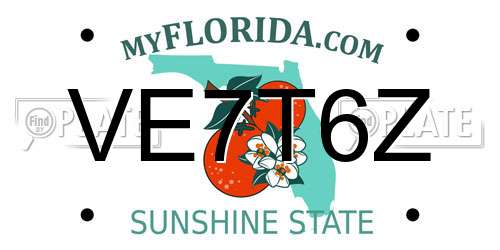 VE7T6Z Florida License Plate
