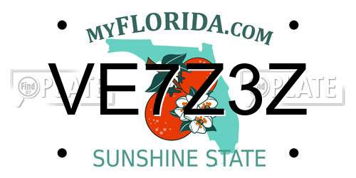 VE7Z3Z Florida License Plate