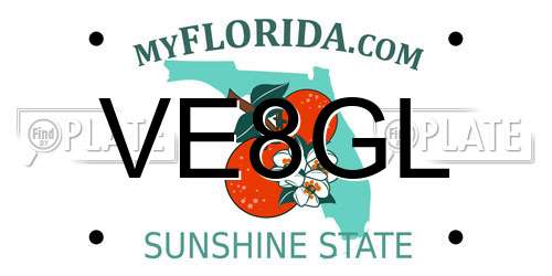 VE8GL Florida License Plate