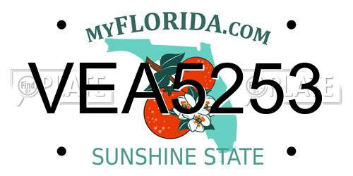 VEA5253 Florida License Plate
