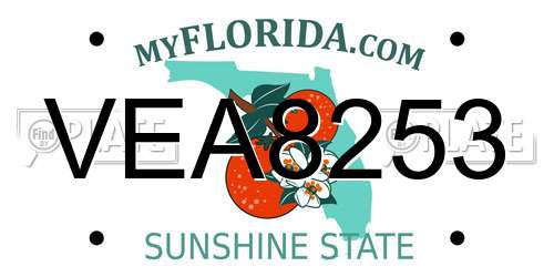 VEA8253 Florida License Plate