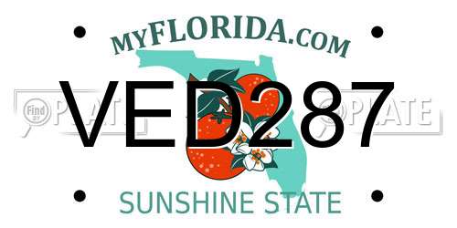 VED287 Florida License Plate