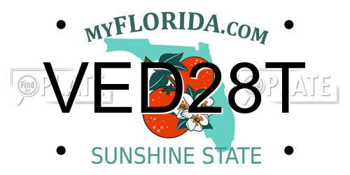 VED28T Florida License Plate