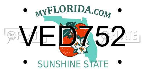 VED752 Florida License Plate