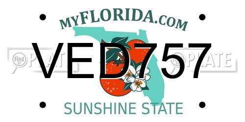 VED757 Florida License Plate