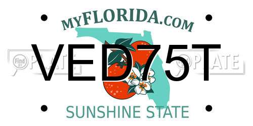 VED75T Florida License Plate