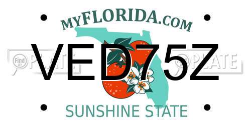 VED75Z Florida License Plate