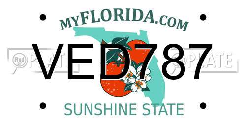 VED787 Florida License Plate