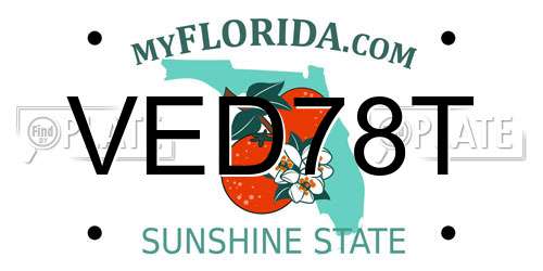 VED78T Florida License Plate