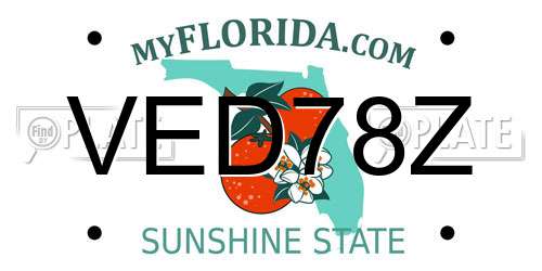 VED78Z Florida License Plate