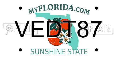VEDT87 Florida License Plate