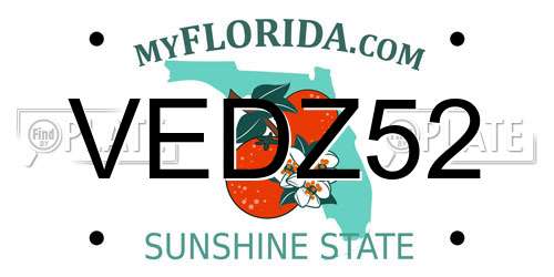VEDZ52 Florida License Plate